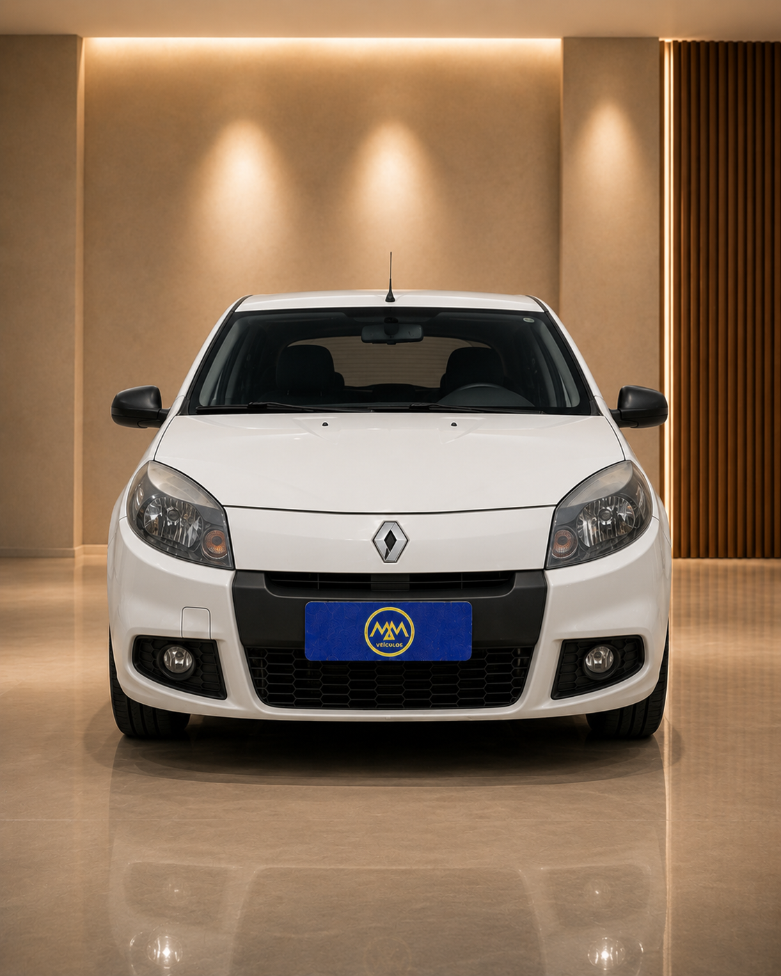 Renault Sandero Tec Run